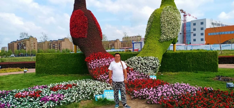 尘埃的第一张照片--东丰认干亲服务网